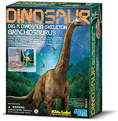 Brachiosaurus Dig a Dino - 4M Kidz Labs